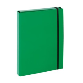 Heftbox A4 mit Gummizug grün Pagna 21309-05 Produktbild