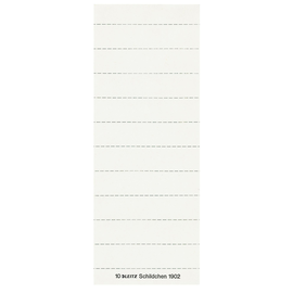 Blanko-Schildchen für Hängemappen 60x14mm weiß Leitz 1902-00-01 (BTL=100 STÜCK) Produktbild