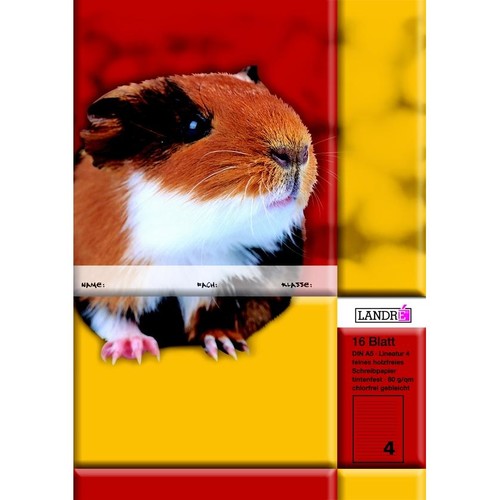 Heft starker Deckel A5 Lineatur 4 4.Schuljahr liniert 16Blatt 80g holzfrei weiß Landré 100050070 Produktbild Additional View 1 L