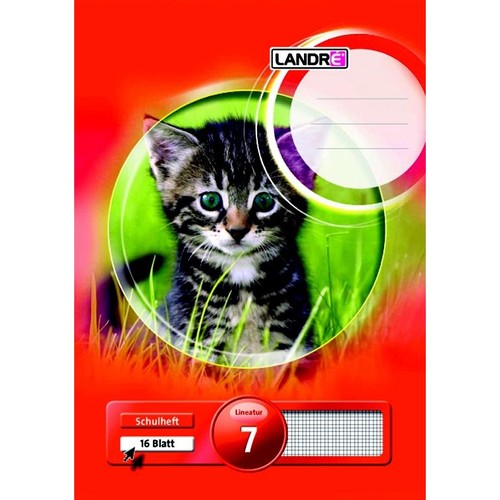 Heft starker Deckel A5 Lineatur 7 kariert 7mm 16Blatt 80g holzfrei weiß Landré 100050073 Produktbild Front View L