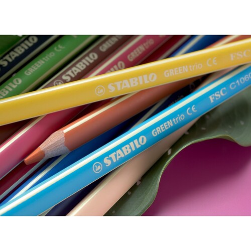 Farbstifte GREENtrio dreikant sortiert Stabilo 6203/12 (PACK=12 STÜCK) Produktbild Additional View 2 L