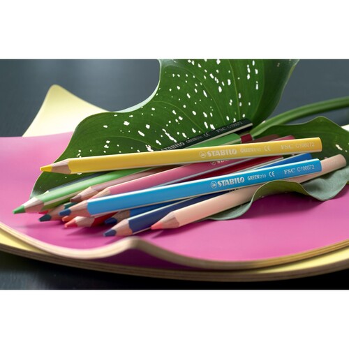 Farbstifte GREENtrio dreikant sortiert Stabilo 6203/12 (PACK=12 STÜCK) Produktbild Additional View 3 L