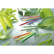 Farbstifte GREENtrio dreikant sortiert Stabilo 6203/12 (PACK=12 STÜCK) Produktbild Additional View 7 S