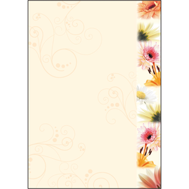 Motiv-Papier Inkjet+Laser+Kopier A4 90g Design Flowerstyle Sigel DP788 (PACK=50 BLATT) Produktbild