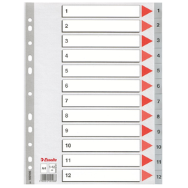 Register A4 225x297mm Zahlen 1-12 grau Plastik Esselte 100106 Produktbild