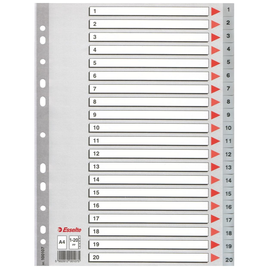 Register A4 225x297mm Zahlen 1-20 grau Plastik Esselte 100107 Produktbild