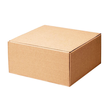 Geschenkverpackung Allround natur 250 x 250 x 120mm Famulus 200201 Produktbild