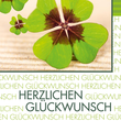 Glückwunsch-Karten inkl. Umschläge 115x170mm 220g Fortune Sigel DS004 (PACK= JE 10 STÜCK) Produktbild Additional View 1 S
