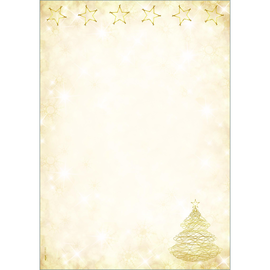 Weihnachts-Motiv-Papier A4 90g Graceful Christmas Sigel DP083 (PACK=100 BLATT) Produktbild