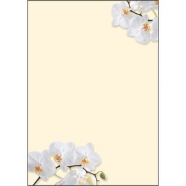 Motiv-Papier Inkjet+Laser+Kopier A4 90g Design White Orchid Sigel DP904 (PACK=50 BLATT) Produktbild