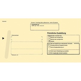 Postzustellungsbriefumschlag für innen mit Anschriftenfeld durchschreibend 224x114mm gelb RNK 2043 (PACK=500 STÜCK) Produktbild