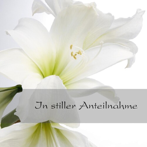 Trauer-Karte 115x170mm 220g Weiße Amaryllis inkl. Umschläge Sigel DS006 (PACK = JE 10 STÜCK) Produktbild Additional View 1 L