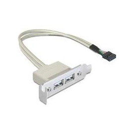 Delock Slot bracket - USB-Kabel - USB (W) zu 9-poliger USB-Header (W) Produktbild