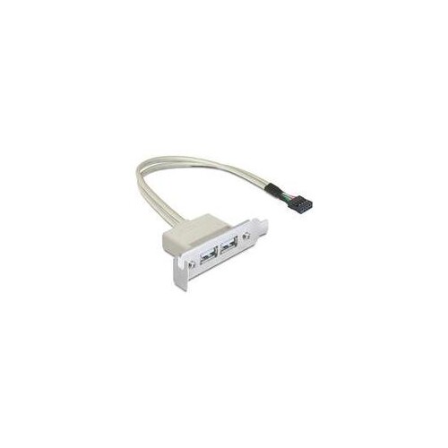 Delock Slot bracket - USB-Kabel - USB (W) zu 9-poliger USB-Header (W) Produktbild Front View L