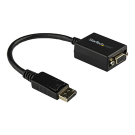 StarTech.com DisplayPort auf VGA Video Adapter - DP 20 Pin (St) Produktbild