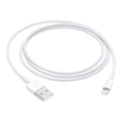 Apple Lightning-Kabel - USB männlich zu Lightning männlich Produktbild