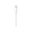 Apple Lightning-Kabel - USB männlich zu Lightning männlich Produktbild Additional View 2 S