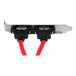 StarTech.com 2 Port SATA auf eSATA Slotblech - Serial-ATA/eSATA Adapter - SATA-Blende, intern/extern Produktbild Additional View 1 S
