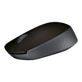 Logitech M170 - Maus - kabellos - 2.4 GHz - kabelloser Empfänger (USB) Produktbild