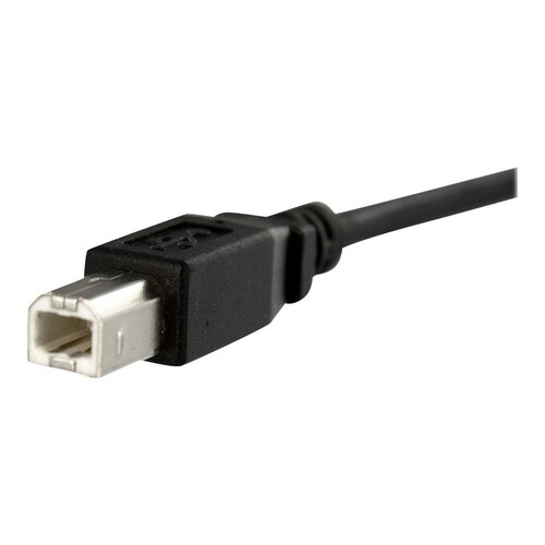 StarTech.com 30 cm USB B auf B Kabel zur Slotbelch Montage - Buchse/Stecker - USB-Kabel - USB Typ B Produktbild Additional View 2 L