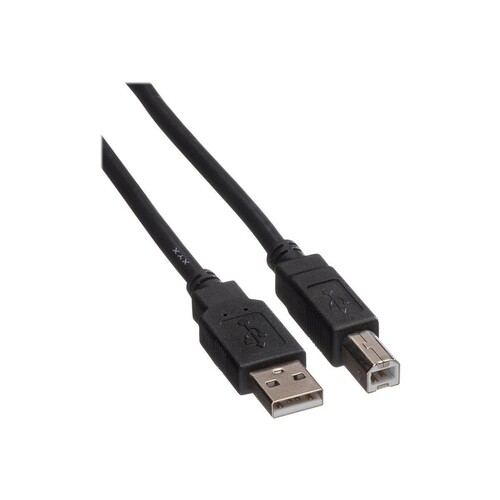 ROLINE USB-Kabel - USB (M) zu USB Typ B (M) Produktbild Additional View 2 L
