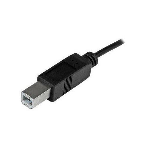 StarTech.com 1m USB 2.0 USB-C auf USB-B Kabel - USB Anschlusskabel - USB-Kabel - 24 pin USB-C (M) Produktbild Additional View 1 L