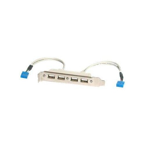 StarTech.com 4 Port USB 2.0 Buchse Slotblech Adapter mit 2x 10-Pin Mainboard Header - USB-Konsole - Produktbild