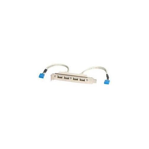 StarTech.com 4 Port USB 2.0 Buchse Slotblech Adapter mit 2x 10-Pin Mainboard Header - USB-Konsole - Produktbild Additional View 1 L