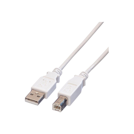 VALUE USB-Kabel - USB (M) zu USB Typ B (M) Produktbild
