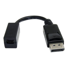 StarTech.com 15cm DisplayPort auf Mini DisplayPort Adapter - 1 x DP (20 pin) Produktbild