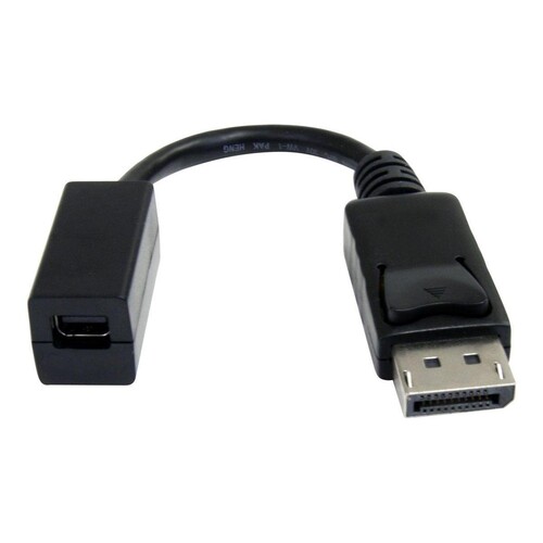 StarTech.com 15cm DisplayPort auf Mini DisplayPort Adapter - 1 x DP (20 pin) Produktbild