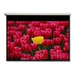 Optoma Panoview DE-9120EGA - Leinwand - motorisiert - 305 cm (120") Produktbild