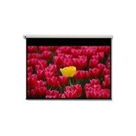 Optoma Panoview DE-9120EGA - Leinwand - motorisiert - 305 cm (120") Produktbild