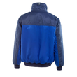 Livigno Pilotjacke / Gr. 5XL,  Kornblau/Marine Produktbild Additional View 2 S