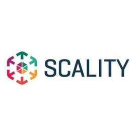 HPE Scality RING Engineer Professional Services - Lizenz Produktbild