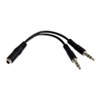 StarTech.com 3,5mm Audio Klinke Y Kabel - Headset Splitter Produktbild