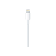 Apple Lightning-Kabel - Lightning männlich zu USB männlich Produktbild Additional View 2 S