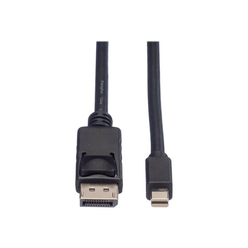 ROLINE DisplayPort-Kabel - DisplayPort (M) Produktbild Additional View 3 L
