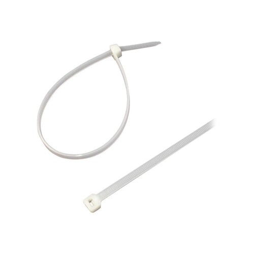 ROLINE Secomp - Kabelbinder - 25 cm (Packung mit 100) Produktbild