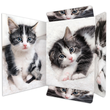 Zeichensammelmappe mit Gummizug Motiv Katze A3 RNK 45331 Produktbild Additional View 1 S
