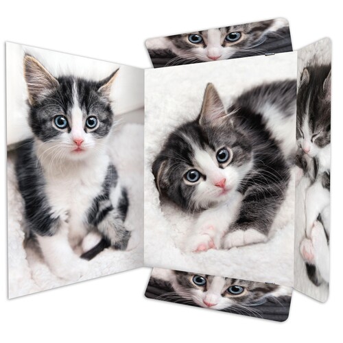 Zeichensammelmappe mit Gummizug Motiv Katze A3 RNK 45331 Produktbild Additional View 1 L