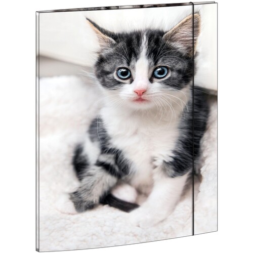 Zeichensammelmappe mit Gummizug Motiv Katze A3 RNK 45331 Produktbild Additional View 2 L