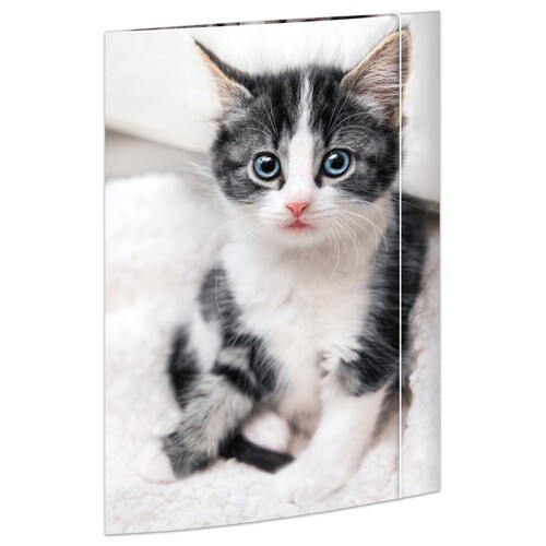 Zeichensammelmappe mit Gummizug Motiv Katze A3 RNK 45331 Produktbild