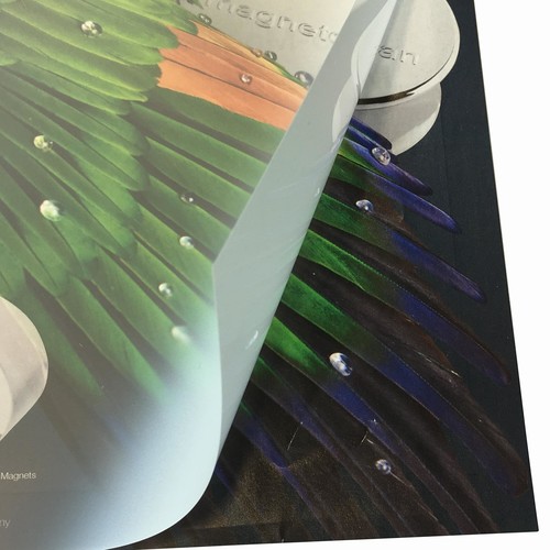 Ersatzfolien Kundenstopper SP A1 transparent Magnetoplan 500019 (PACK=2 STÜCK) Produktbild Front View L