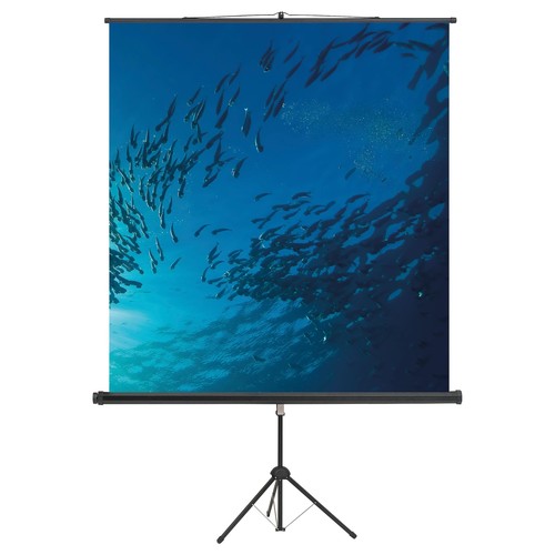 Stativ Leinwand Standard 200x200cm mattweiß Magnetoplan 6100216 Produktbild Front View L