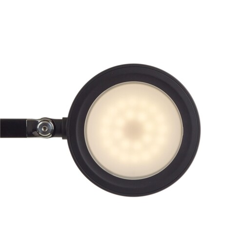 Tischleuchte LED MAULgrace colour vario dimmbar schwarz m. Standfuß Maul 8205090 Produktbild Additional View 2 L