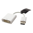 ROLINE Display-Adapter - Dual Link - DisplayPort (M) Produktbild