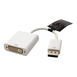 ROLINE Display-Adapter - Dual Link - DisplayPort (M) Produktbild
