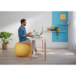 Sitzball Ergo Cosy 65cm Durchmesser mit Stoffüberzug gelb Leitz 5279-00-19 Produktbild Additional View 7 S