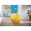 Sitzball Ergo Cosy 65cm Durchmesser mit Stoffüberzug gelb Leitz 5279-00-19 Produktbild Back View S